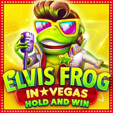 5 Gringos game