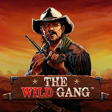 5 Gringos game